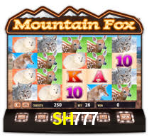 Casino Online SH777 | Os Melhores Slots no Brasil